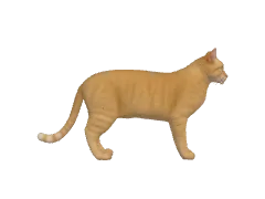 3D Height Comparison Tool | HowHeight