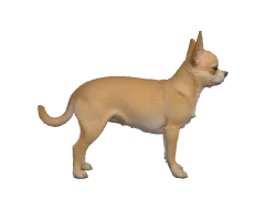 3D Height Comparison Tool | HowHeight