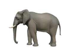 3D Height Comparison Tool | HowHeight