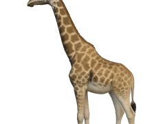 3D Height Comparison Tool | HowHeight