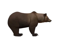 3D Height Comparison Tool | HowHeight