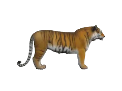 3D Height Comparison Tool | HowHeight