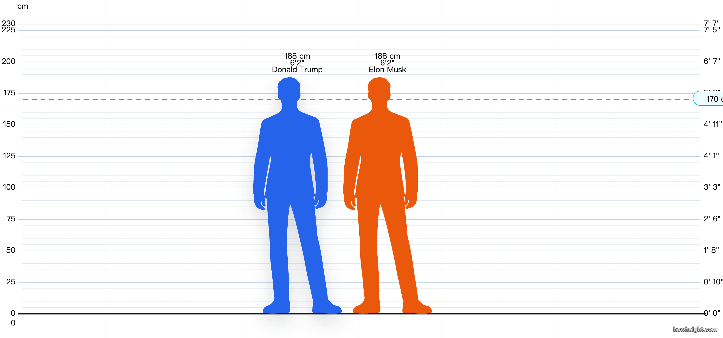 Celebrity height comparison preview featuring Donald Trump and Elon Musk on one chart